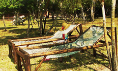 deck chairs